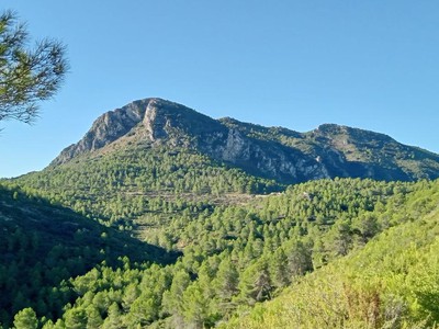 foto sobre Aielo de Rugat