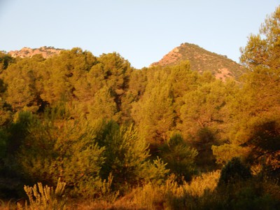 foto sobre Albalat Dels Tarongers