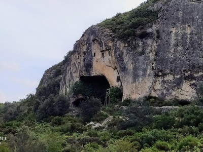 foto sobre Alfafara