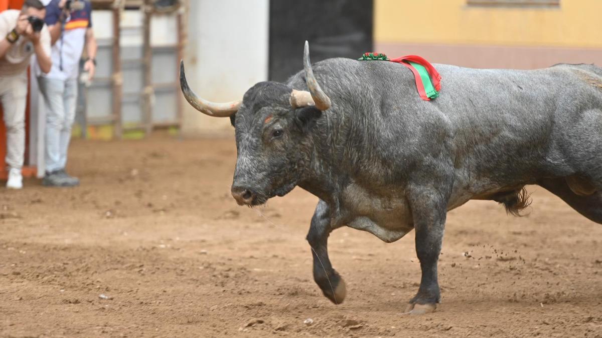 foto sobre Almassora