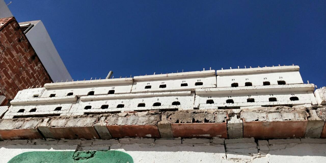 foto sobre Benicarló