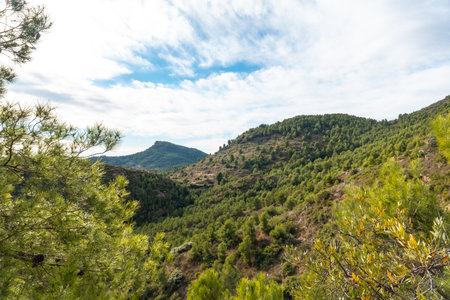 foto sobre Estivella