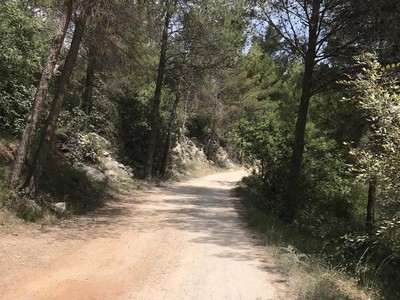 foto sobre L'orxa/Lorcha