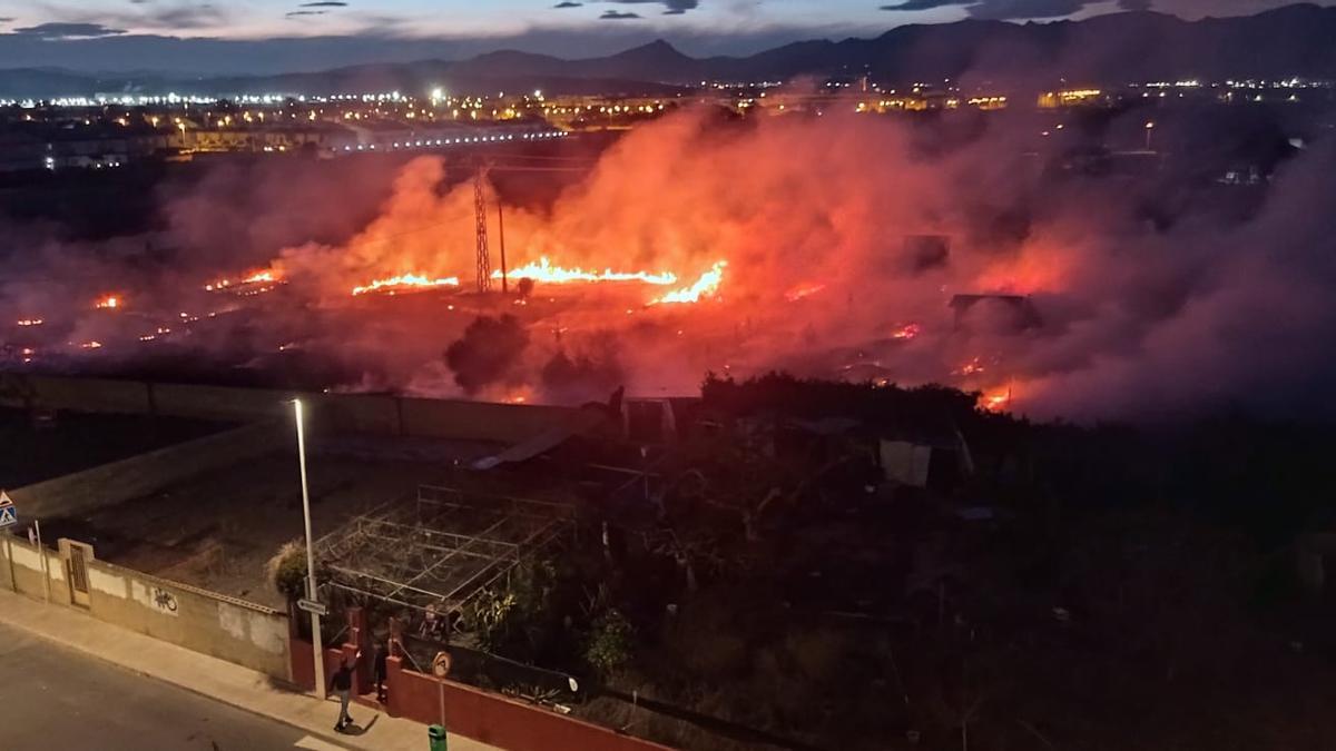 foto sobre Moncofa