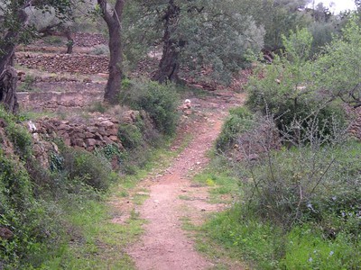foto sobre Sant Joan de Moró