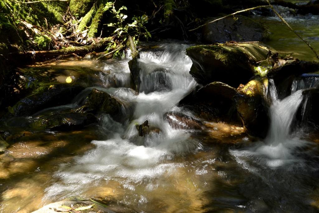 foto sobre Yátova