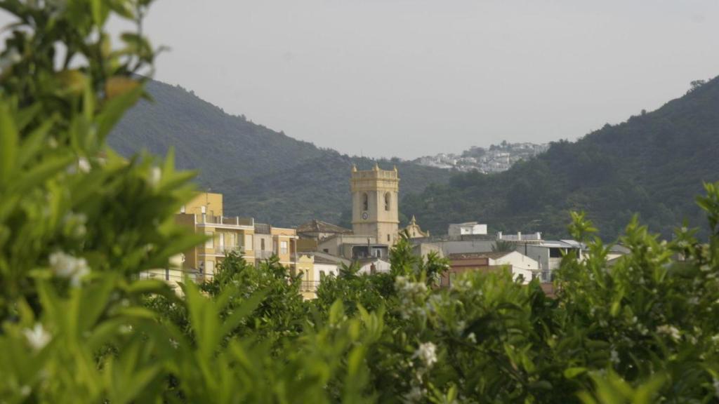 View of el Rafol Dalmunia