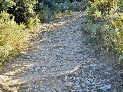 View of la Torre Den Domenec