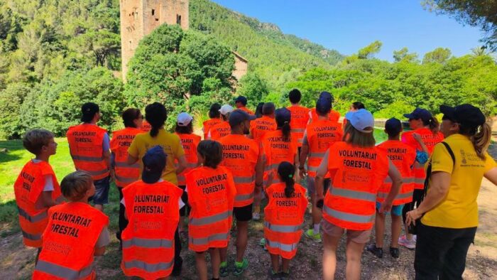 La Generalitat convoca ayudas para actividades de voluntariado ambiental en prevención de incendios forestales