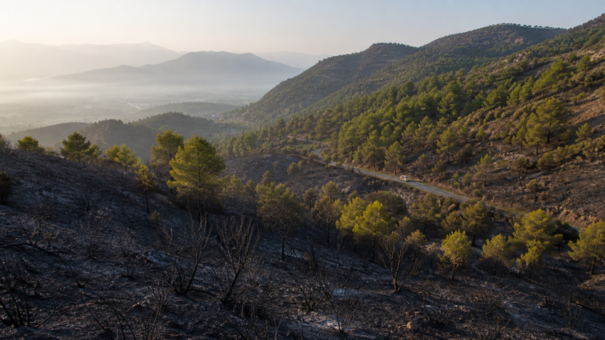Ladera mediterránea afectada por un incendio junto a una carretera de montaña en la Sierra Calderona