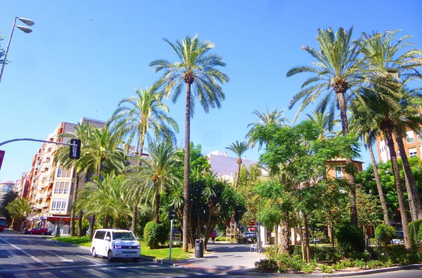 File:Alicante - Plaza de España 5.jpg
