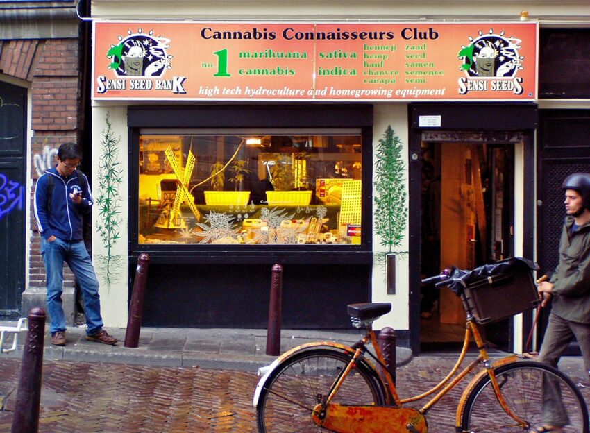 File:004 Cannabis seed shop in Amsterdam, Netherlands.jpg