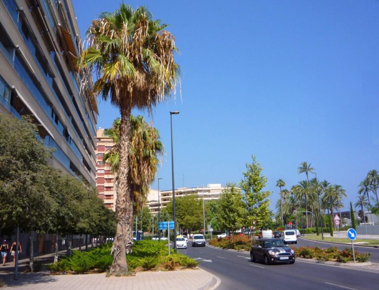 File:Alicante - Avenida de Elche 1.jpg